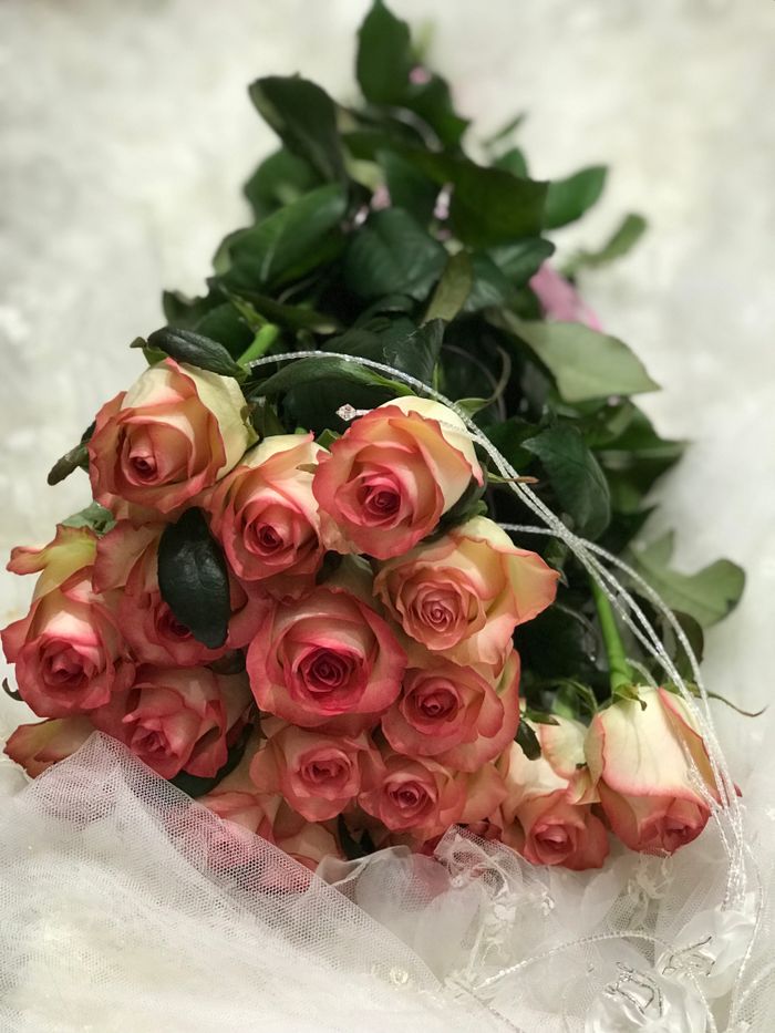 A beautifully arranged bouquet of delicate pink roses on a soft, dreamy background perfect for romantic occasions.