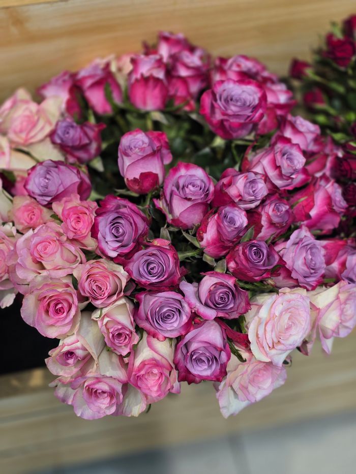 A stunning assortment of pink and purple roses in full bloom, perfect for bouquets.