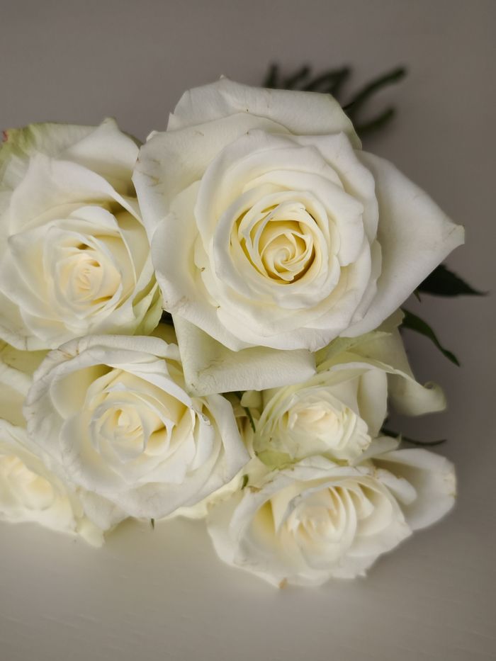 Beautiful close-up of a bouquet of white roses, perfect for romantic occasions.